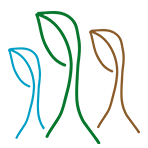 CAD Logo